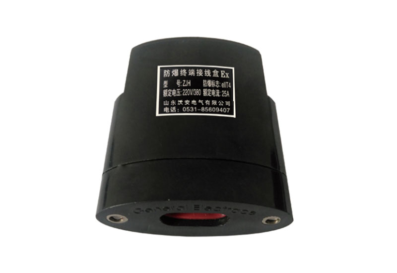 防爆尾端接線盒 防爆尾端接線盒