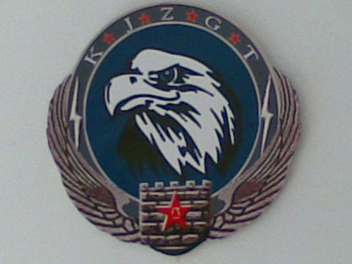 中國(guó)空軍部隊(duì)各部隊(duì)特色徽章欣賞